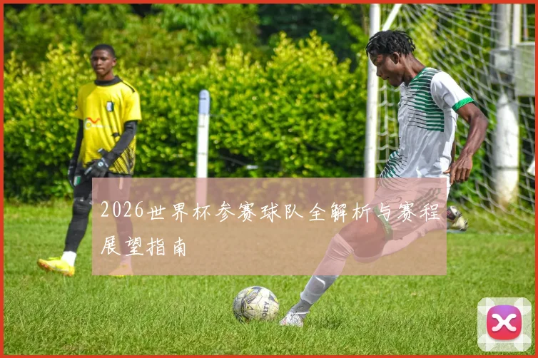 2026世界杯参赛球队全解析与赛程展望指南