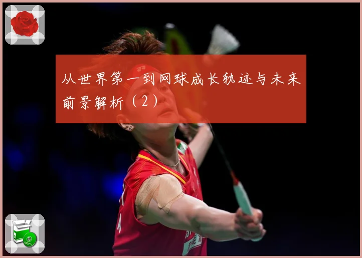 从世界第一到网球成长轨迹与未来前景解析（2）