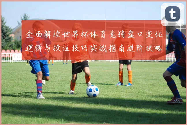 全面解读世界杯体育竞猜盘口变化逻辑与投注技巧实战指南进阶攻略