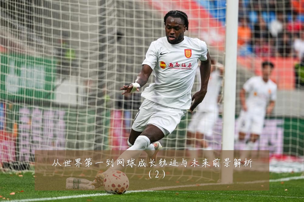 从世界第一到网球成长轨迹与未来前景解析（2）