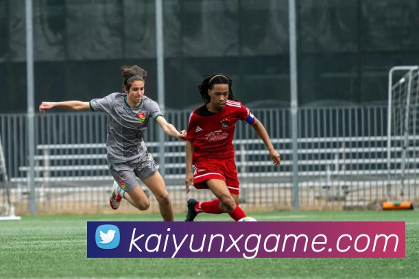 开云平台助力数字化转型 推动企业智能化升级与创新发展